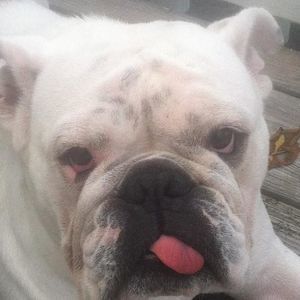 Meet your Posher, Jack